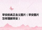早安的真正含义图片（早安图片 怎样理解早安）
