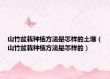山竹盆栽种植方法是怎样的土壤（山竹盆栽种植方法是怎样的）