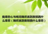 我寄愁心与明月随君直到夜郎西什么意思（随君直到夜郎西什么意思）