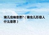 猪儿虫啥意思?（猪虫儿形容人什么意思）