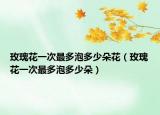 玫瑰花一次最多泡多少朵花（玫瑰花一次最多泡多少朵）
