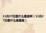 11月27日是什么星座啊（11月27日是什么座星座）