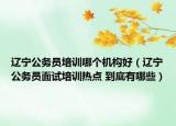 辽宁公务员培训哪个机构好（辽宁公务员面试培训热点 到底有哪些）