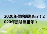 2020年是啥属相年?（2020年是啥属相年）