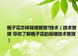 栀子花怎样栽培管理?技术（技术管理 带你了解栀子花的栽培技术管理）