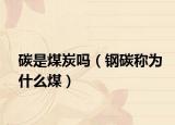碳是煤炭吗（钢碳称为什么煤）
