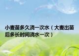 小麦苗多久浇一次水（大麦出苗后多长时间浇水一次）