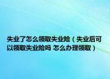 失业了怎么领取失业险（失业后可以领取失业险吗 怎么办理领取）