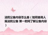 法院公告内容怎么查（如何查询人民法院公告 第一时间了解公告内容）