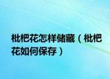 枇杷花怎样储藏（枇杷花如何保存）