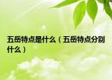五岳特点是什么（五岳特点分别什么）