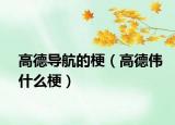 高德导航的梗（高德伟什么梗）