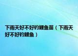 下雨天好不好钓鲤鱼苗（下雨天好不好钓鲤鱼）