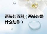 两头起百科（两头起是什么动作）