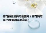 荷花的画法简笔画图片（荷花简笔画 六步画出美丽荷花）