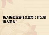 拆入拆出资金什么意思（什么是拆入资金）