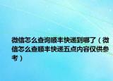 微信怎么查询顺丰快递到哪了（微信怎么查顺丰快递五点内容仅供参考）