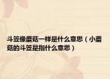 斗笠像蘑菇一样是什么意思（小蘑菇的斗笠是指什么意思）