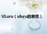 ULuru（uluru的意思）