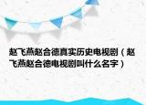 赵飞燕赵合德真实历史电视剧（赵飞燕赵合德电视剧叫什么名字）
