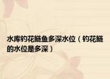 水库钓花鲢鱼多深水位（钓花鲢的水位是多深）