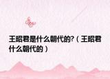王昭君是什么朝代的?（王昭君什么朝代的）