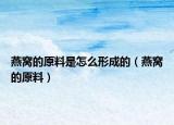 燕窝的原料是怎么形成的（燕窝的原料）