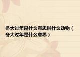 冬大过年是什么意思指什么动物（冬大过年是什么意思）