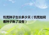 饥荒种子生长多少天（饥荒如何看种子熟了没有）