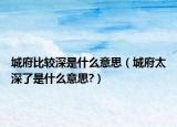城府比较深是什么意思（城府太深了是什么意思?）