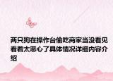 两只狗在操作台偷吃商家当没看见 看着太恶心了具体情况详细内容介绍