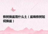 铁树换盆用什么土（盆栽铁树如何换盆）