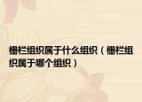 栅栏组织属于什么组织（栅栏组织属于哪个组织）
