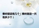 秦岭隧道有几个（秦岭隧道一共有多少个）