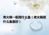 煮火锅一般用什么鱼（煮火锅用什么鱼最好）