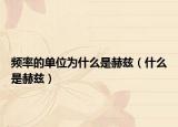 频率的单位为什么是赫兹（什么是赫兹）