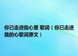 你已走进我心里 歌词（你已走进我的心歌词原文）