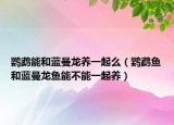 鹦鹉能和蓝曼龙养一起么（鹦鹉鱼和蓝曼龙鱼能不能一起养）