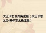 大王卡怎么弄免流量（大王卡怎么办 教你怎么免流量）