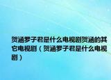 贺涵罗子君是什么电视剧贺涵的其它电视剧（贺涵罗子君是什么电视剧）