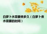 白萝卜水需要煮多久（白萝卜煮水需要的时间）