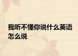我听不懂你说什么英语怎么说