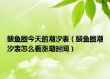 鲅鱼圈今天的潮汐表（鲅鱼圈潮汐表怎么看涨潮时间）