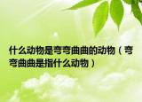 什么动物是弯弯曲曲的动物（弯弯曲曲是指什么动物）