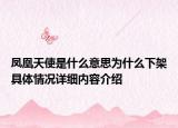 凤凰天使是什么意思为什么下架具体情况详细内容介绍