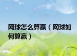 网球怎么算赢（网球如何算赢）
