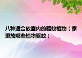 八种适合放室内的驱蚊植物（家里放哪些植物驱蚊）