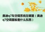 奥迪q7车空调系统在哪里（奥迪q7空调面板是什么东西）