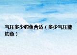 气压多少钓鱼合适（多少气压能钓鱼）