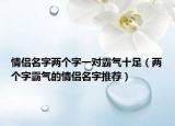 情侣名字两个字一对霸气十足（两个字霸气的情侣名字推荐）